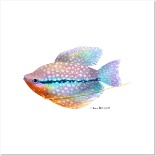 Pearl Gourami Fish Posters and Art